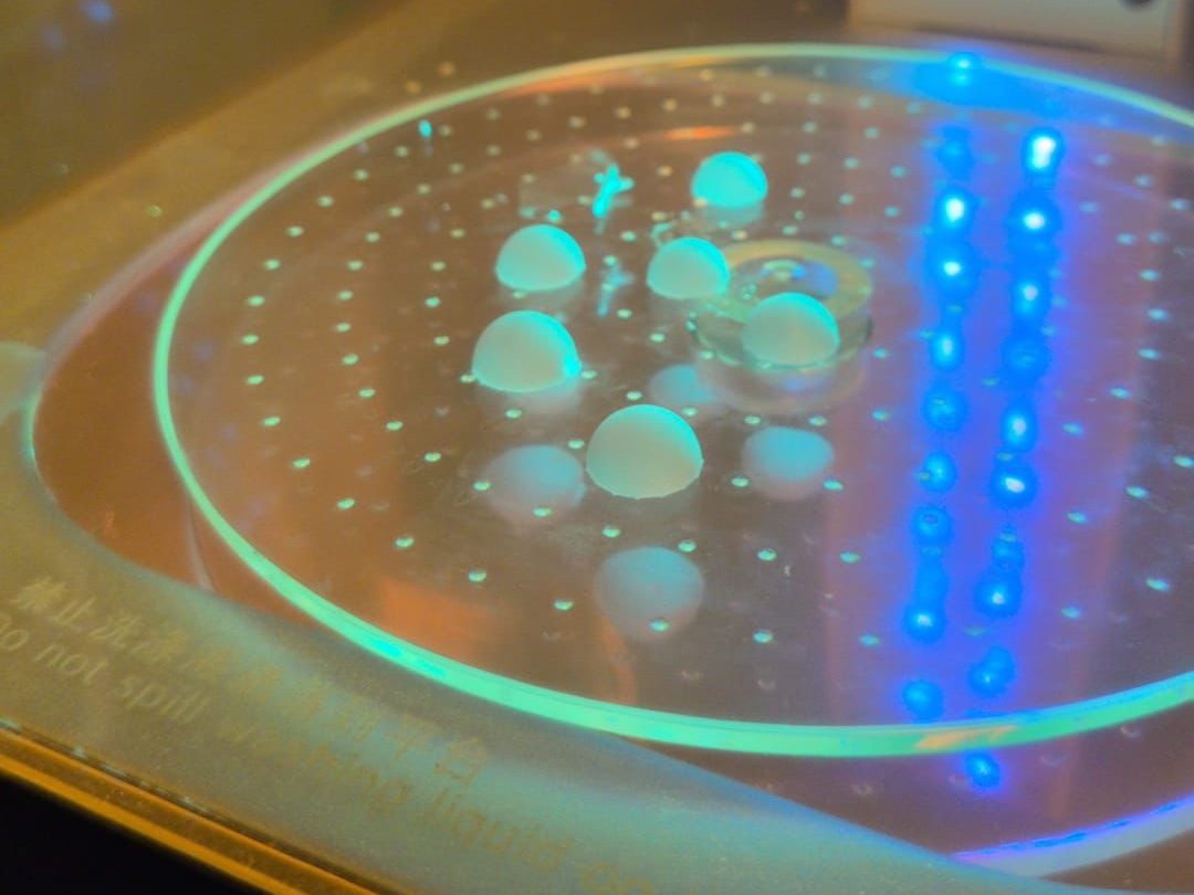 Frisch gedruckte Resin-Prototypen härten unter UV-Licht aus